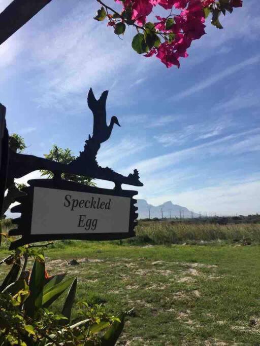 The Speckled Egg, 4 Promenade Rd, Lakeside, קייפטאון מראה חיצוני תמונה