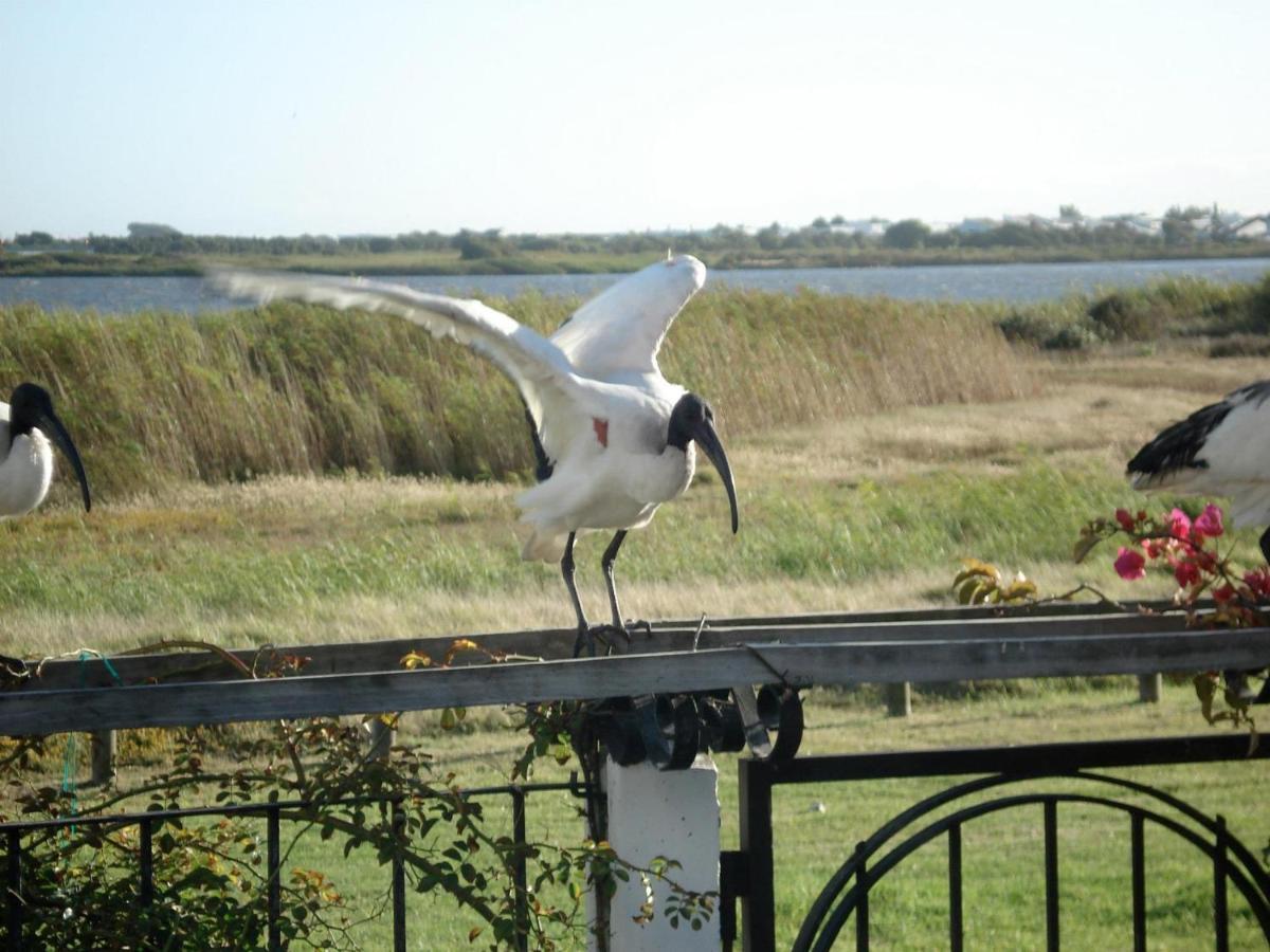 The Speckled Egg, 4 Promenade Rd, Lakeside, קייפטאון מראה חיצוני תמונה